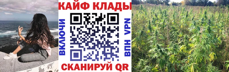 Наркошоп купить Cocaine  Псилоцибиновые грибы  Меф  ГАШИШ  МАРИХУАНА  Туапсе