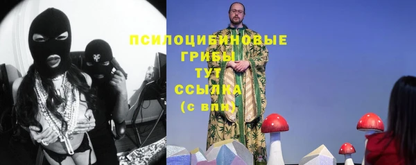 тгк Зеленодольск