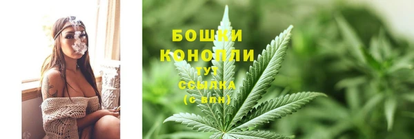 Альфа ПВП Зеленокумск
