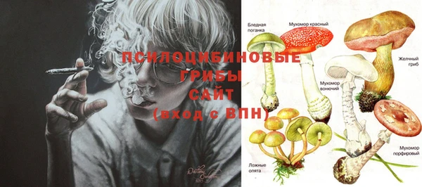 шишки Фёдоровский
