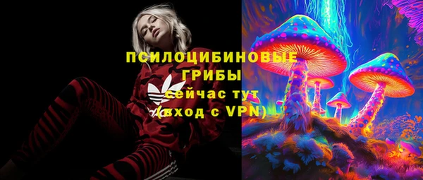 марки lsd Заводоуковск